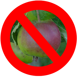 Apfel durchgestrichen