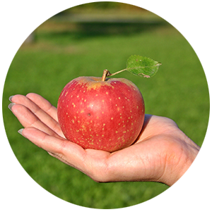 Apfel auf Hand
